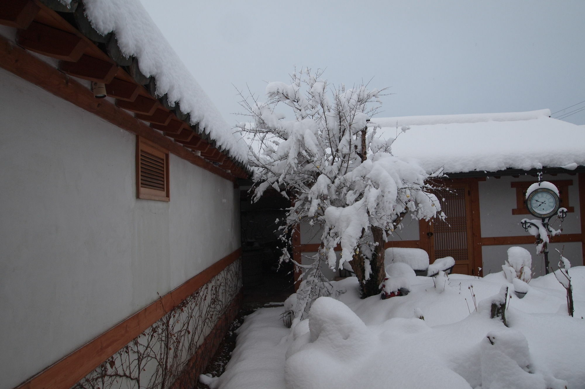Floral Space Hanok Guesthouse Gyeongju Exterior foto